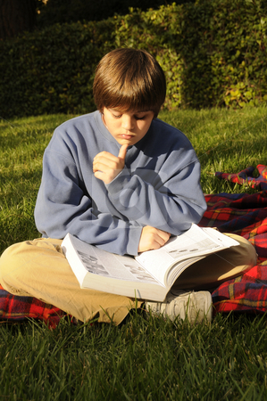 To use this stock image in your creative project, please select the size you need over to the right and click the "Add to Cart" button.
Your downloaded image will come with the Cutcaster watermark removed so don’t worry about the watermark you see on this page. Teenager Studying stock photo, Young teenager studying his homework by Timothy OLeary
