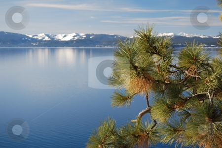 To use this stock image in your creative project, please select the size you need over to the right and click the "Add to Cart" button.
Your downloaded image will come with the Cutcaster watermark removed so don’t worry about the watermark you see on this page. Serenity stock photo, Lake Tahoe on the Nevada side. by Steven Kapinos