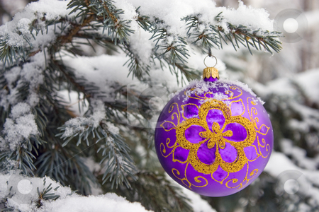 To use this stock image in your creative project, please select the size you need over to the right and click the "Add to Cart" button.
Your downloaded image will come with the Cutcaster watermark removed so don’t worry about the watermark you see on this page. Christmas-tree. stock photo, Violet christmas glass ball hanging on the tree in snow. by Yury Ponomarev