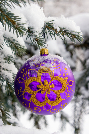 To use this stock image in your creative project, please select the size you need over to the right and click the "Add to Cart" button.
Your downloaded image will come with the Cutcaster watermark removed so don’t worry about the watermark you see on this page. Christmas-tree. stock photo, Violet christmas glass ball hanging on the tree in snow. by Yury Ponomarev