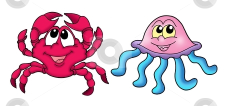 To use this stock image in your creative project, please select the size you need over to the right and click the "Add to Cart" button.
Your downloaded image will come with the Cutcaster watermark removed so don’t worry about the watermark you see on this page. Cute crab and medusa stock photo, Cute crab and medusa - color illustration. by Klara Viskova
