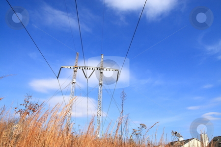 To use this stock image in your creative project, please select the size you need over to the right and click the "Add to Cart" button.
Your downloaded image will come with the Cutcaster watermark removed so don’t worry about the watermark you see on this page. Powerlines stock photo, Powerlines suppllying power to housing community by Jack Schiffer