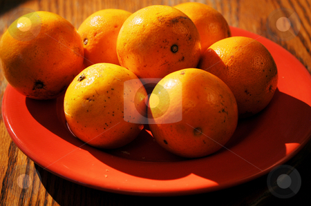 To use this stock image in your creative project, please select the size you need over to the right and click the "Add to Cart" button.
Your downloaded image will come with the Cutcaster watermark removed so don’t worry about the watermark you see on this page. Oranges on a plate stock photo, Oranges on a plate ready for grabbing by Tim Markley