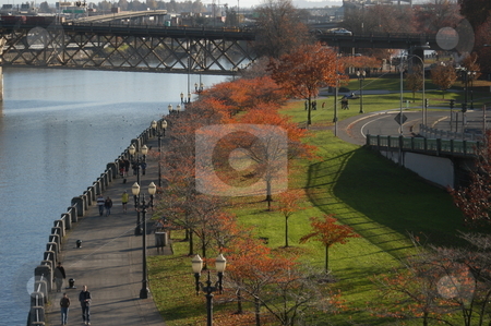 To use this stock image in your creative project, please select the size you need over to the right and click the "Add to Cart" button.
Your downloaded image will come with the Cutcaster watermark removed so don’t worry about the watermark you see on this page. Portland Oregon stock photo, A fall scene along the river in Portland Oregon by Tim Markley