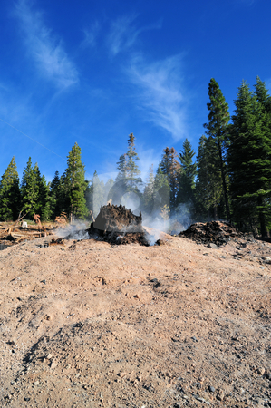 To use this stock image in your creative project, please select the size you need over to the right and click the "Add to Cart" button.
Your downloaded image will come with the Cutcaster watermark removed so don’t worry about the watermark you see on this page. After Forest Fire stock photo, Clear blue sky and smoldering tree stump and ashes after a forest fire by Lynn Bendickson