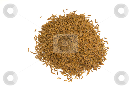 To use this stock image in your creative project, please select the size you need over to the right and click the "Add to Cart" button.
Your downloaded image will come with the Cutcaster watermark removed so don’t worry about the watermark you see on this page. K?mmel (Carum carvi) - Caraway or Persian cumin stock photo, K?mmel, botanisch Wiesenk?mmel oder Gemeiner K?mmel (Carum carvi), ist eines der ?ltesten Gew?rze in der Familie der Doldenbl?tler (Apiaceae). - Caraway or Persian cumin (Carum carvi) is a biennial plant in the family Apiaceae, native to Europe and western Asia. by Wolfgang Heidasch