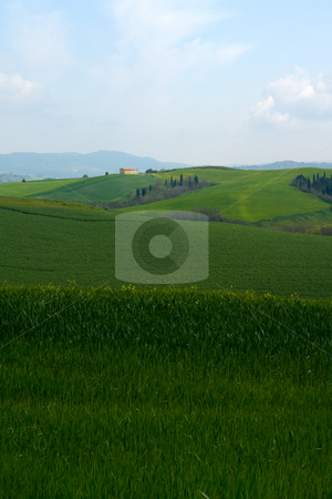 To use this stock image in your creative project, please select the size you need over to the right and click the "Add to Cart" button.
Your downloaded image will come with the Cutcaster watermark removed so don’t worry about the watermark you see on this page. Toskanische Landschaft stock photo, Toskanische Landschaft by Wolfgang Heidasch