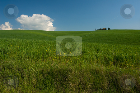 To use this stock image in your creative project, please select the size you need over to the right and click the "Add to Cart" button.
Your downloaded image will come with the Cutcaster watermark removed so don’t worry about the watermark you see on this page. Toskanische Landschaft stock photo, Toskanische Landschaft by Wolfgang Heidasch