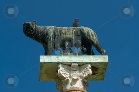 To use this stock image in your creative project, please select the size you need over to the right and click the "Add to Cart" button.
Your downloaded image will come with the Cutcaster watermark removed so don’t worry about the watermark you see on this page. Kapitolinische W?lfin mir Romulus und Remus am Dom zu Pisa, Toskana stock photo, Kapitolinische W?lfin mir Romulus und Remus am Dom zu Pisa, Toskana by Wolfgang Heidasch