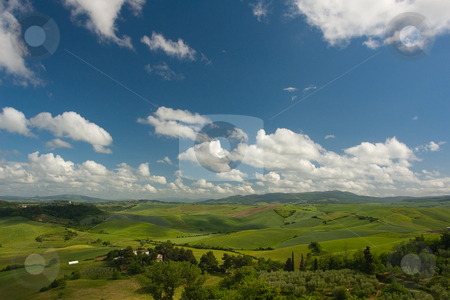 To use this stock image in your creative project, please select the size you need over to the right and click the "Add to Cart" button.
Your downloaded image will come with the Cutcaster watermark removed so don’t worry about the watermark you see on this page. Landschaft in der Toskana, Italien - Landscape in tuscany, italy stock photo, Die Toskana (italienisch Toscana) ist eine Region in Italien und grenzt im Norden an Ligurien und die Emilia-Romagna, im Osten an die Marken und an Umbrien und im S?den an Latium. - Tuscany (Italian: Toscana) is a region in Italy. It has an area of 22,990 km? and a population of about 3.6 million inhabitants. The regional capital is Florence. by Wolfgang Heidasch