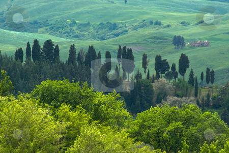 To use this stock image in your creative project, please select the size you need over to the right and click the "Add to Cart" button.
Your downloaded image will come with the Cutcaster watermark removed so don’t worry about the watermark you see on this page. Landschaft in der Toskana, Italien - Landscape in tuscany, italy stock photo, Die Toskana (italienisch Toscana) ist eine Region in Italien und grenzt im Norden an Ligurien und die Emilia-Romagna, im Osten an die Marken und an Umbrien und im S?den an Latium. - Tuscany (Italian: Toscana) is a region in Italy. It has an area of 22,990 km? and a population of about 3.6 million inhabitants. The regional capital is Florence. by Wolfgang Heidasch