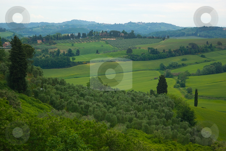 To use this stock image in your creative project, please select the size you need over to the right and click the "Add to Cart" button.
Your downloaded image will come with the Cutcaster watermark removed so don’t worry about the watermark you see on this page. Landschaft in der Toskana, Italien - Landscape in tuscany, italy stock photo, Die Toskana (italienisch Toscana) ist eine Region in Italien und grenzt im Norden an Ligurien und die Emilia-Romagna, im Osten an die Marken und an Umbrien und im S?den an Latium. - Tuscany (Italian: Toscana) is a region in Italy. It has an area of 22,990 km? and a population of about 3.6 million inhabitants. The regional capital is Florence. by Wolfgang Heidasch
