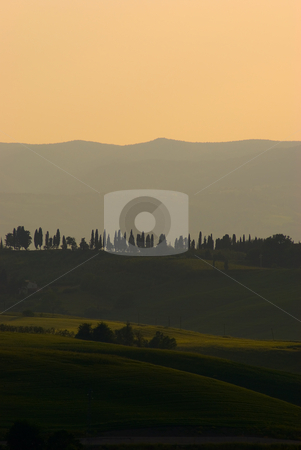 To use this stock image in your creative project, please select the size you need over to the right and click the "Add to Cart" button.
Your downloaded image will come with the Cutcaster watermark removed so don’t worry about the watermark you see on this page. Landschaft in der Toskana, Italien - Landscape in tuscany, italy stock photo, Die Toskana (italienisch Toscana) ist eine Region in Italien und grenzt im Norden an Ligurien und die Emilia-Romagna, im Osten an die Marken und an Umbrien und im S?den an Latium. - Tuscany (Italian: Toscana) is a region in Italy. It has an area of 22,990 km? and a population of about 3.6 million inhabitants. The regional capital is Florence. by Wolfgang Heidasch