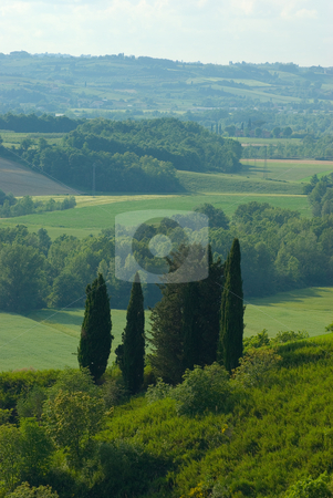 To use this stock image in your creative project, please select the size you need over to the right and click the "Add to Cart" button.
Your downloaded image will come with the Cutcaster watermark removed so don’t worry about the watermark you see on this page. Landschaft in der Toskana, Italien - Landscape in tuscany, italy stock photo, Die Toskana (italienisch Toscana) ist eine Region in Italien und grenzt im Norden an Ligurien und die Emilia-Romagna, im Osten an die Marken und an Umbrien und im S?den an Latium. - Tuscany (Italian: Toscana) is a region in Italy. It has an area of 22,990 km? and a population of about 3.6 million inhabitants. The regional capital is Florence. by Wolfgang Heidasch