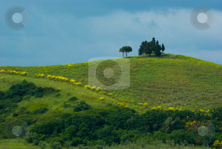 To use this stock image in your creative project, please select the size you need over to the right and click the "Add to Cart" button.
Your downloaded image will come with the Cutcaster watermark removed so don’t worry about the watermark you see on this page. Landschaft in der Toskana, Italien - Landscape in tuscany, italy stock photo, Die Toskana (italienisch Toscana) ist eine Region in Italien und grenzt im Norden an Ligurien und die Emilia-Romagna, im Osten an die Marken und an Umbrien und im S?den an Latium. - Tuscany (Italian: Toscana) is a region in Italy. It has an area of 22,990 km? and a population of about 3.6 million inhabitants. The regional capital is Florence. by Wolfgang Heidasch