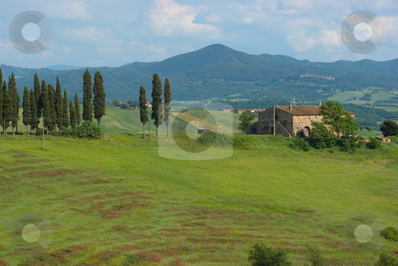 To use this stock image in your creative project, please select the size you need over to the right and click the "Add to Cart" button.
Your downloaded image will come with the Cutcaster watermark removed so don’t worry about the watermark you see on this page. Bauernhaus in der Toscana, Italien - House in Tuscany, Italy stock photo, Die Toskana (italienisch Toscana) ist eine Region in Italien und grenzt im Norden an Ligurien und die Emilia-Romagna, im Osten an die Marken und an Umbrien und im S?den an Latium. - Tuscany (Italian: Toscana) is a region in Italy. It has an area of 22,990 km? and a population of about 3.6 million inhabitants. The regional capital is Florence. by Wolfgang Heidasch
