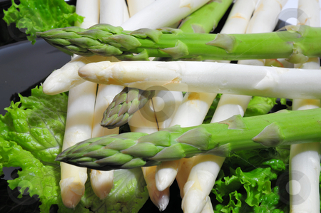 To use this stock image in your creative project, please select the size you need over to the right and click the "Add to Cart" button.
Your downloaded image will come with the Cutcaster watermark removed so don’t worry about the watermark you see on this page. Asparagus Green And White stock photo, Green and white asparagus on a bed of lettuce by Lynn Bendickson