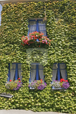 To use this stock image in your creative project, please select the size you need over to the right and click the "Add to Cart" button.
Your downloaded image will come with the Cutcaster watermark removed so don’t worry about the watermark you see on this page. House with blue windows, Kervignac, Brittany, Northern France stock photo, House with blue windows, Kervignac, Brittany, Northern France by Lothar Hinz