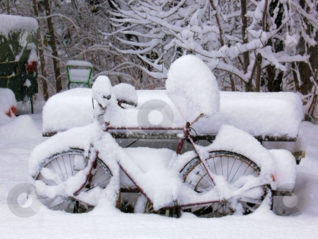 To use this stock image in your creative project, please select the size you need over to the right and click the "Add to Cart" button.
Your downloaded image will come with the Cutcaster watermark removed so don’t worry about the watermark you see on this page. Snow Covered Bike stock photo, Two days after the first snow storm of the year. by Ray Carpenter