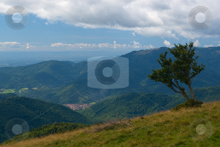 To use this stock image in your creative project, please select the size you need over to the right and click the "Add to Cart" button.
Your downloaded image will come with the Cutcaster watermark removed so don’t worry about the watermark you see on this page. Vogesen Landschaft - Landscape in the Vosges Mountains stock photo, Die Vogesen (frz. les Vosges, dt. fr?her auch Wasgenwald) sind ein Mittelgebirge in Ostfrankreich. - The Vosges or Vosges Mountains are a mountain range in eastern France, stretching along the west side of the Rhine valley in a north-north-east direction, from Belfort to Saverne. by Wolfgang Heidasch