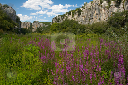 To use this stock image in your creative project, please select the size you need over to the right and click the "Add to Cart" button.
Your downloaded image will come with the Cutcaster watermark removed so don’t worry about the watermark you see on this page. Fields in Chassezac, Ardeche Valley, Southern France stock photo, Der Chassezac ist ein Zufluss der Ard?che in S?dfrankreich. Er entspringt in den Cevennen in der N?he von Le Moure de la Gardille. Bei Ruoms m?ndet er in die Ard?che. Typisch ist das steile Tal, welcher in den Jahrtausenden in den Stein gegraben hat. Fluss und Tal sind heute ein Eldorado f?r Kletterer und Kanufahrer. by Wolfgang Heidasch