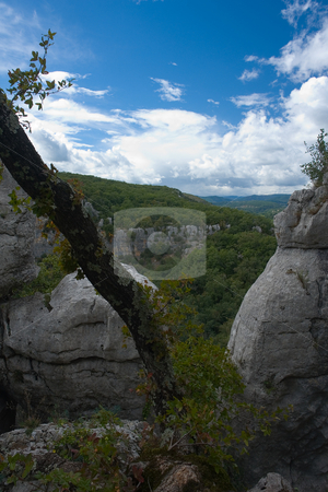 To use this stock image in your creative project, please select the size you need over to the right and click the "Add to Cart" button.
Your downloaded image will come with the Cutcaster watermark removed so don’t worry about the watermark you see on this page. Bois de Paiolive, S?dfrankreich stock photo, Bois de Paiolive, S?dfrankreich by Wolfgang Heidasch
