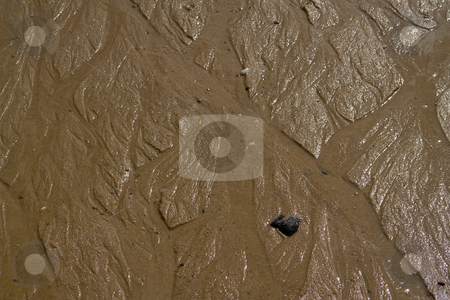 To use this stock image in your creative project, please select the size you need over to the right and click the "Add to Cart" button.
Your downloaded image will come with the Cutcaster watermark removed so don’t worry about the watermark you see on this page. Strukturen im Sand (Watt) am Atlantik in Frankreich, H?he Bordeaux, Medoc stock photo, Wind und Wasserbewegung formen diese bizarren und verg?nglichen Muster in den Sand. by Wolfgang Heidasch