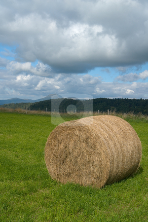To use this stock image in your creative project, please select the size you need over to the right and click the "Add to Cart" button.
Your downloaded image will come with the Cutcaster watermark removed so don’t worry about the watermark you see on this page. Strohballen in der Auvergne, Frankreich stock photo, Strohballen in der Auvergne, Frankreich by Wolfgang Heidasch