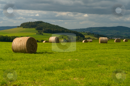 To use this stock image in your creative project, please select the size you need over to the right and click the "Add to Cart" button.
Your downloaded image will come with the Cutcaster watermark removed so don’t worry about the watermark you see on this page. Strohballen in der Auvergne, Frankreich stock photo, Strohballen in der Auvergne, Frankreich by Wolfgang Heidasch