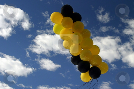 To use this stock image in your creative project, please select the size you need over to the right and click the "Add to Cart" button.
Your downloaded image will come with the Cutcaster watermark removed so don’t worry about the watermark you see on this page. Balloons stock photo, Yellow and black balloons with blue and white sky in the background. by Henrik Lehnerer