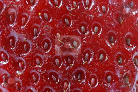 To use this stock image in your creative project, please select the size you need over to the right and click the "Add to Cart" button.
Your downloaded image will come with the Cutcaster watermark removed so don’t worry about the watermark you see on this page. Strawberry stock photo, Strawberry by Lothar Hinz