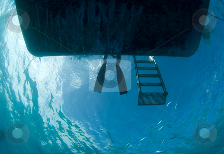 To use this stock image in your creative project, please select the size you need over to the right and click the "Add to Cart" button.
Your downloaded image will come with the Cutcaster watermark removed so don’t worry about the watermark you see on this page. Waiting Diver stock photo, A freediver takes a break on the swim platform, as seen from below the boat. by A Cotton Photo