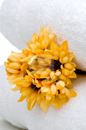 To use this stock image in your creative project, please select the size you need over to the right and click the "Add to Cart" button.
Your downloaded image will come with the Cutcaster watermark removed so don’t worry about the watermark you see on this page. Flowers and white towels stock photo, Yellow flowers and white towels by Vince Clements