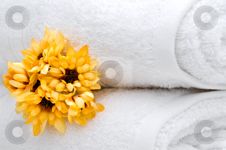 To use this stock image in your creative project, please select the size you need over to the right and click the "Add to Cart" button.
Your downloaded image will come with the Cutcaster watermark removed so don’t worry about the watermark you see on this page. Flowers and white towels stock photo, Yellow flowers and white towels by Vince Clements