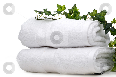 To use this stock image in your creative project, please select the size you need over to the right and click the "Add to Cart" button.
Your downloaded image will come with the Cutcaster watermark removed so don’t worry about the watermark you see on this page. Green vine on white towels stock photo, Green vine on white towels by Vince Clements