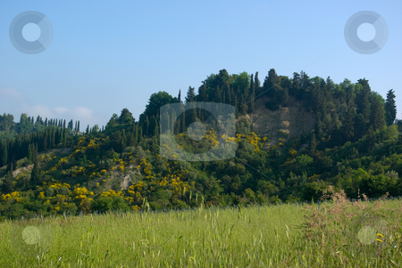 To use this stock image in your creative project, please select the size you need over to the right and click the "Add to Cart" button.
Your downloaded image will come with the Cutcaster watermark removed so don’t worry about the watermark you see on this page. Landschaft in der Toskana, Italien - Landscape in tuscany, italy stock photo, Die Toskana (italienisch Toscana) ist eine Region in Italien und grenzt im Norden an Ligurien und die Emilia-Romagna, im Osten an die Marken und an Umbrien und im S?den an Latium. - Tuscany (Italian: Toscana) is a region in Italy. It has an area of 22,990 km? and a population of about 3.6 million inhabitants. The regional capital is Florence. by Wolfgang Heidasch