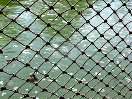 To use this stock image in your creative project, please select the size you need over to the right and click the "Add to Cart" button.
Your downloaded image will come with the Cutcaster watermark removed so don’t worry about the watermark you see on this page. Rope Net stock photo, A pattern of a net alongside a lake. by Lucy Clark