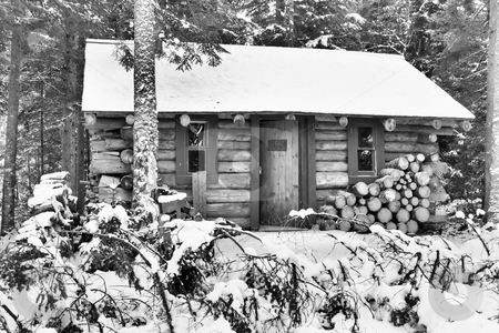 To use this stock image in your creative project, please select the size you need over to the right and click the "Add to Cart" button.
Your downloaded image will come with the Cutcaster watermark removed so don’t worry about the watermark you see on this page. Cabin stock photo, cabin in the woods during the winter,picture shown in black and white by Tim Markley