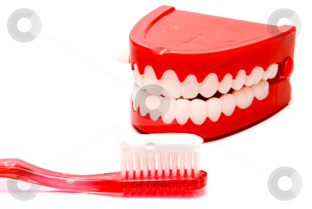 To use this stock image in your creative project, please select the size you need over to the right and click the "Add to Cart" button.
Your downloaded image will come with the Cutcaster watermark removed so don’t worry about the watermark you see on this page. Dental Hygiene stock photo, A toothbrush and a set of chattering teeth in a glass. by Robert Byron
