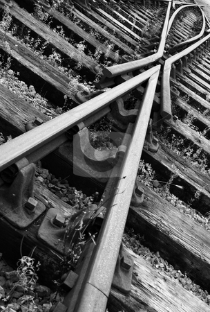 To use this stock image in your creative project, please select the size you need over to the right and click the "Add to Cart" button.
Your downloaded image will come with the Cutcaster watermark removed so don’t worry about the watermark you see on this page. Directionless stock photo, An oblique black and white shot of railway track, showing a converging and diverging set of tracks with the points in the middle. by Tim Green