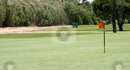 To use this stock image in your creative project, please select the size you need over to the right and click the "Add to Cart" button.
Your downloaded image will come with the Cutcaster watermark removed so don’t worry about the watermark you see on this page. Golf stock photo, Golf green with pin at the end. by Henrik Lehnerer