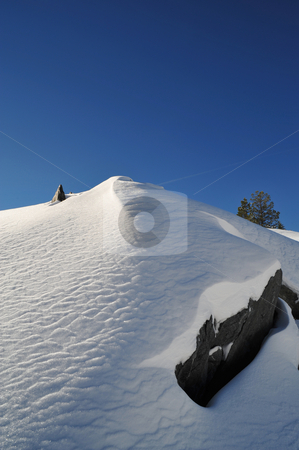 To use this stock image in your creative project, please select the size you need over to the right and click the "Add to Cart" button.
Your downloaded image will come with the Cutcaster watermark removed so don’t worry about the watermark you see on this page. Snow covered summit and sky stock photo, Snow covered mountain peak on a clear cloudless day with a single tree in the background, image contains GPS location information by Lynn Bendickson