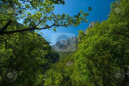 To use this stock image in your creative project, please select the size you need over to the right and click the "Add to Cart" button.
Your downloaded image will come with the Cutcaster watermark removed so don’t worry about the watermark you see on this page. Verdonschlucht, Gorges du Verdon, Grand Canyon du Verdon stock photo, Die Verdonschlucht (frz. Gorges du Verdon), umgangssprachlich auch Grand Canyon du Verdon, ist eine Schlucht in der franz?sischen Provence, Departement Alpes-de-Haute-Provence. - The Verdon Gorge (in French: Gorges du Verdon or Grand canyon du Verdon), in south-eastern France (Alpes-de-Haute-Provence), is a river canyon that is considered by many to be Europe's most beautiful. by Wolfgang Heidasch
