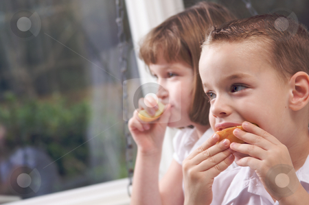 To use this stock image in your creative project, please select the size you need over to the right and click the "Add to Cart" button.
Your downloaded image will come with the Cutcaster watermark removed so don’t worry about the watermark you see on this page. Sister and Brother Eating an Apple stock photo, Sister and Brother Having Fun Eating an Apple by Andy Dean