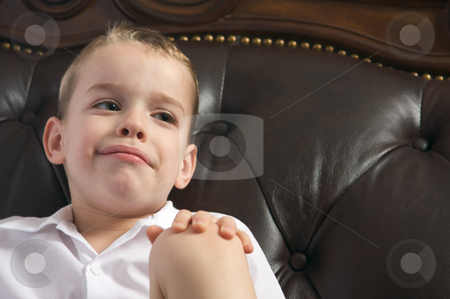 To use this stock image in your creative project, please select the size you need over to the right and click the "Add to Cart" button.
Your downloaded image will come with the Cutcaster watermark removed so don’t worry about the watermark you see on this page. Adorable Young Boy Smiles stock photo, Adorable Young Boy with Blue Eyes Smiles for the Camera by Andy Dean