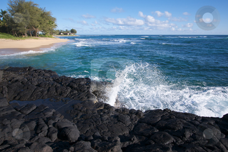 To use this stock image in your creative project, please select the size you need over to the right and click the "Add to Cart" button.
Your downloaded image will come with the Cutcaster watermark removed so don’t worry about the watermark you see on this page. Tropical Shoreline stock photo, Tropical Shoreline on Kauai, Hawaii by Andy Dean