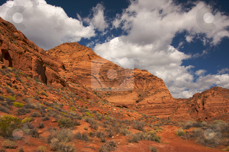 To use this stock image in your creative project, please select the size you need over to the right and click the "Add to Cart" button.
Your downloaded image will come with the Cutcaster watermark removed so don’t worry about the watermark you see on this page. Red Rocks of Utah stock photo, Red Rocks of Utah with Dramatic Blue Sky and Clouds by Andy Dean