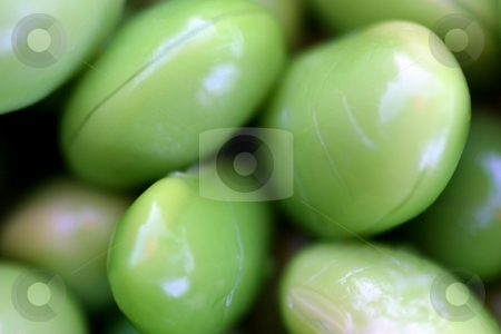 To use this stock image in your creative project, please select the size you need over to the right and click the "Add to Cart" button.
Your downloaded image will come with the Cutcaster watermark removed so don’t worry about the watermark you see on this page. Edamames stock photo, Group of bright green edamame soy beans. by Henrik Lehnerer