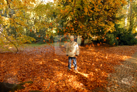 To use this stock image in your creative project, please select the size you need over to the right and click the "Add to Cart" button.
Your downloaded image will come with the Cutcaster watermark removed so don’t worry about the watermark you see on this page. Teenboy in park stock photo, A young boy walking in the park in autumn by Joanna Szycik
