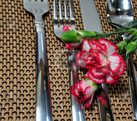 To use this stock image in your creative project, please select the size you need over to the right and click the "Add to Cart" button.
Your downloaded image will come with the Cutcaster watermark removed so don’t worry about the watermark you see on this page. Silverware And A Carnation stock photo, Flatware setting with a pink and white carnation flower by Lynn Bendickson